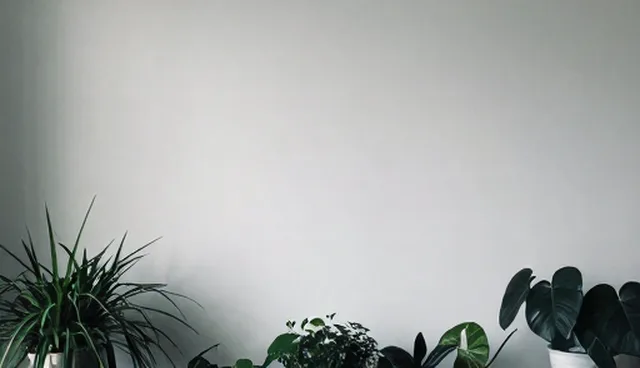 企业网站维护服务中，自主维护与外包维护的取舍分析